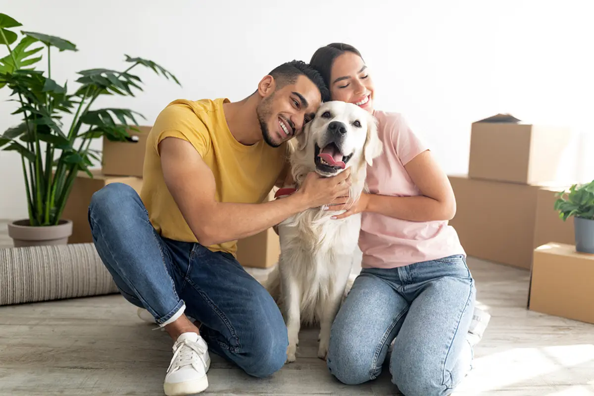 Pets, Policies, and Profit: Creating a Pet-Friendly Rental Strategy in Provo